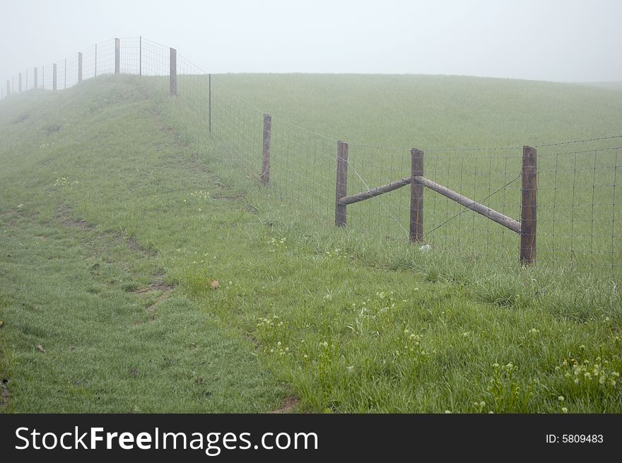 Fence posts disappearing into the mist