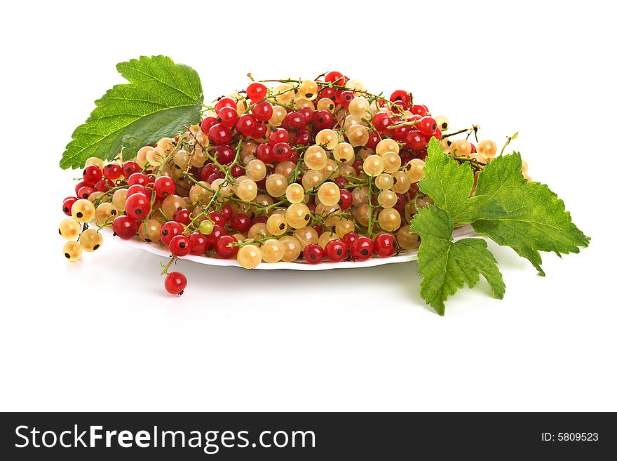 Plate with a currant isolated on a white background