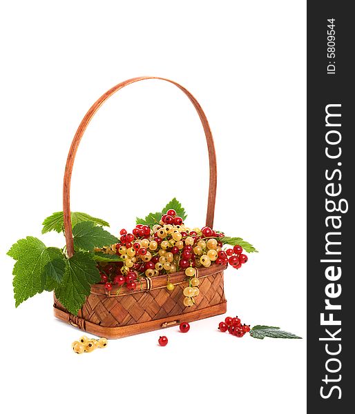 Basket with a currant