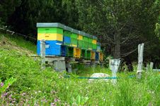 Beehives Stock Photography Beehives Stock Photography