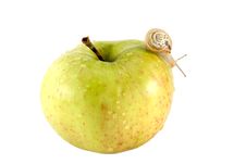 Snail And Apple Royalty Free Stock Photo