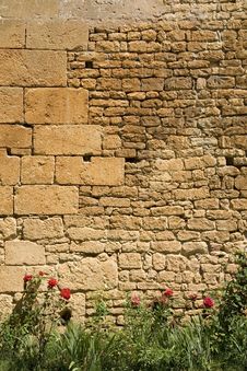 Old Wall With Red Roses Stock Photography Old Wall With Red Roses Stock Photography
