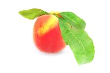 Peach Stock Photography Peach Stock Photography