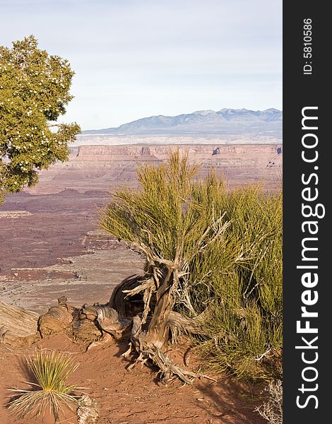 Landscape in Canyonlands National Park