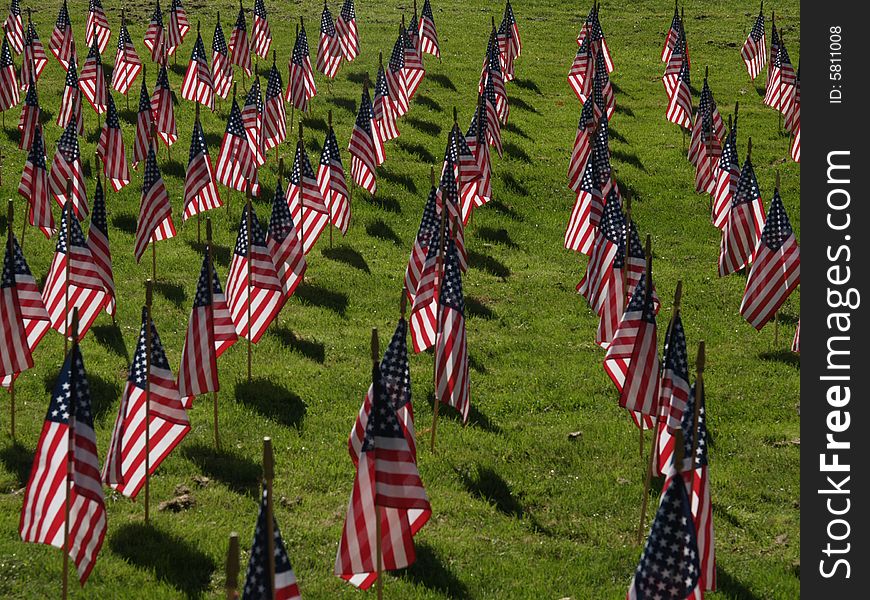 American Flags to mark those killed on Sept, 11, 2001