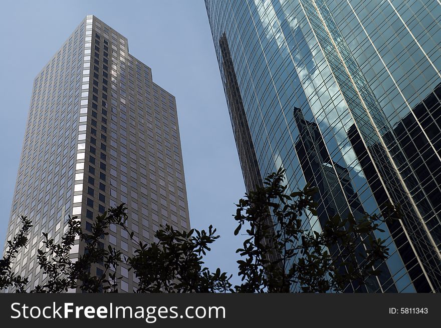 Two skyscraper buildings with tree branches in front. Two skyscraper buildings with tree branches in front