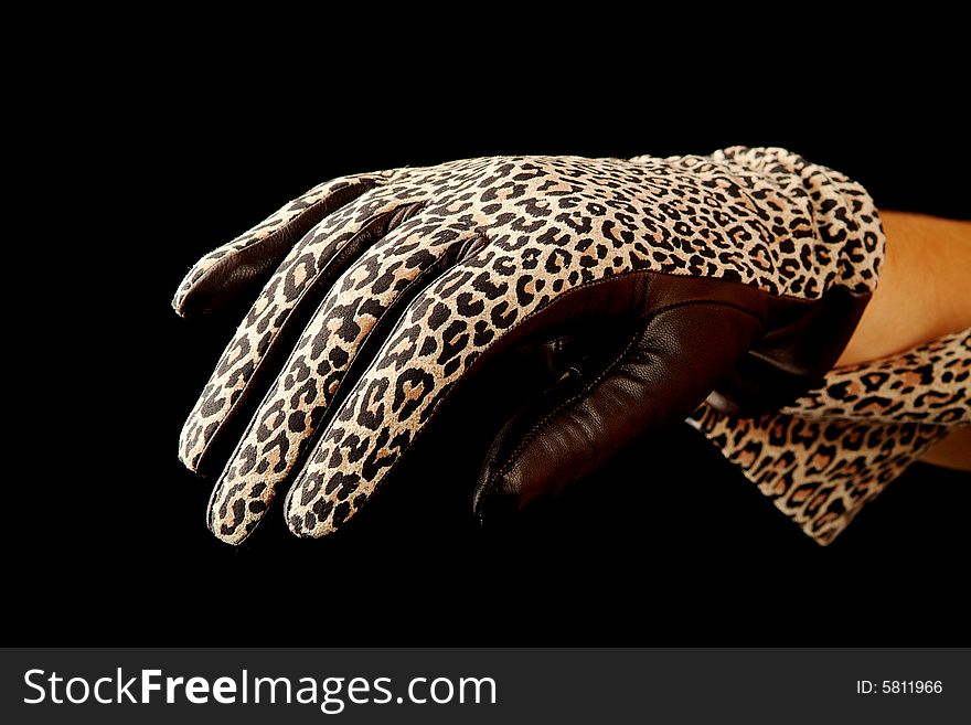 Female hand in a beautiful glove