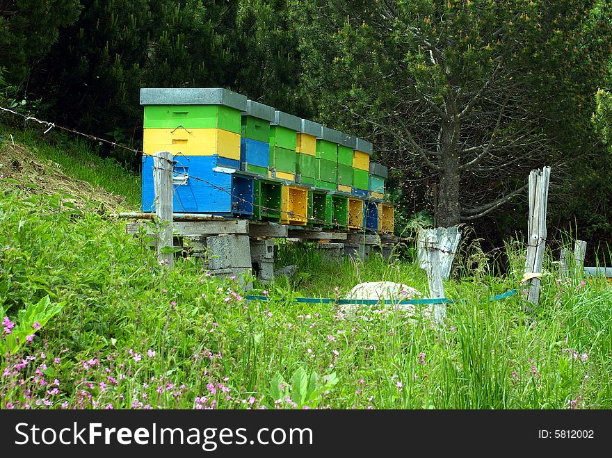 View of some colorful beehives in the countryside.