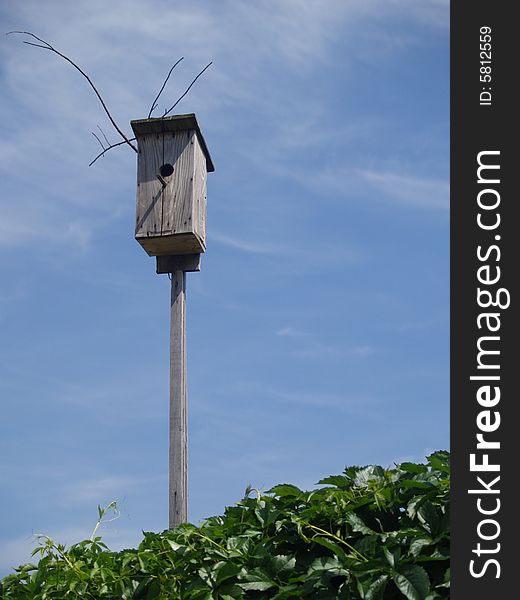 Nesting box with sky on a background