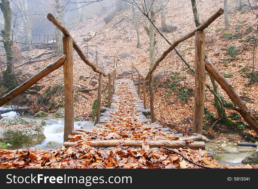 Wooden bridge in autumn forest. Wooden bridge in autumn forest