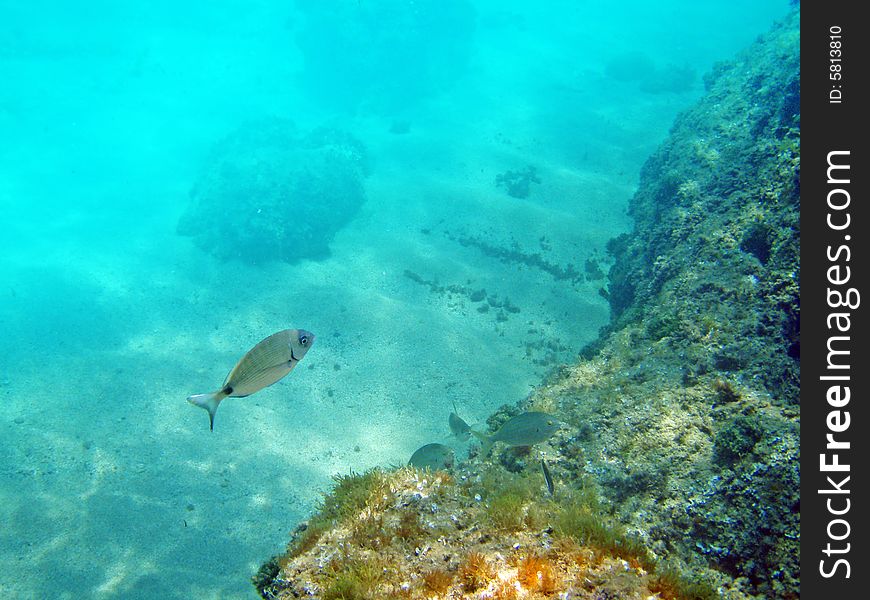 Deep water of Mediterranean sea. Deep water of Mediterranean sea