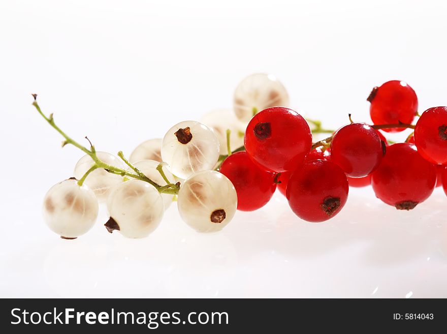 White and red currants on white background