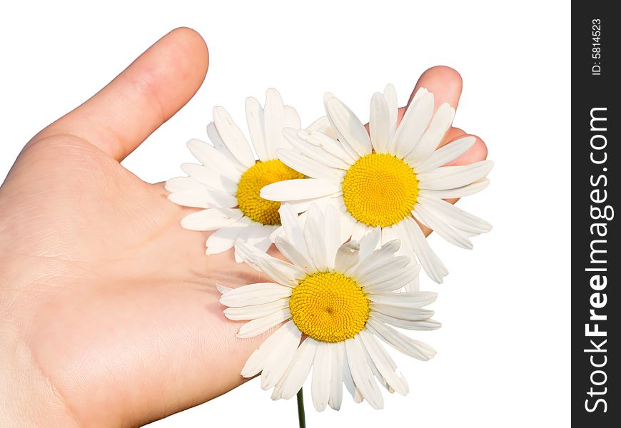 Woman's hand with flowers