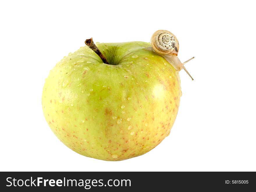 The snail crawl on green apple. The snail crawl on green apple