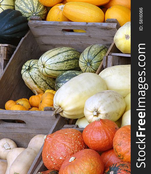 Pumpkins and squashes in wooden boxes at the market