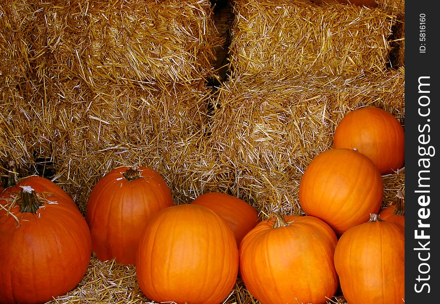 Pumpkins piled up on hay in an autumn scene. Pumpkins piled up on hay in an autumn scene