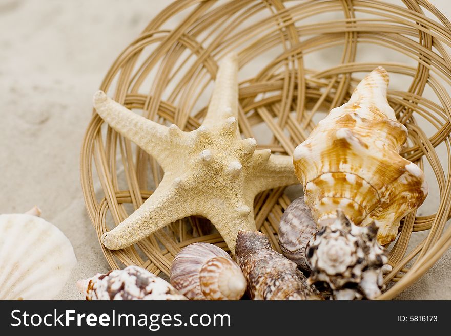 Starfish, chells and basket on sand