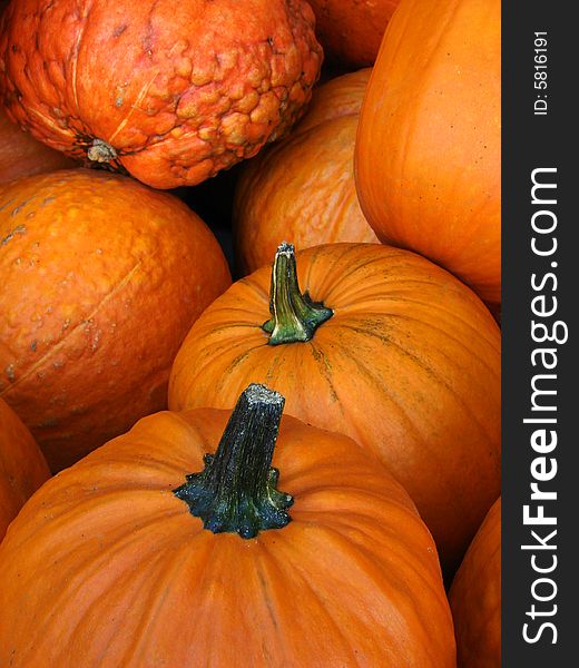 Close-up of small pumpkins in an autumn scene. Close-up of small pumpkins in an autumn scene