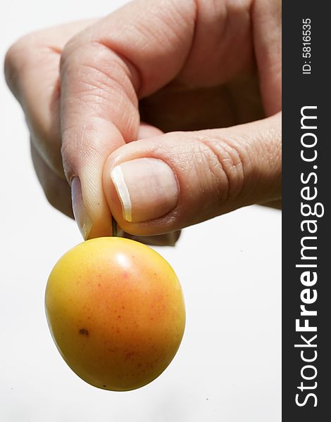 Yellow ripe plum in woman's hand. Yellow ripe plum in woman's hand