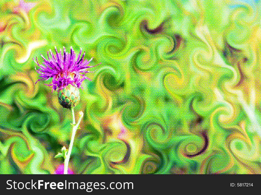 Abstract scene with varicoloured background and field flower. Abstract scene with varicoloured background and field flower