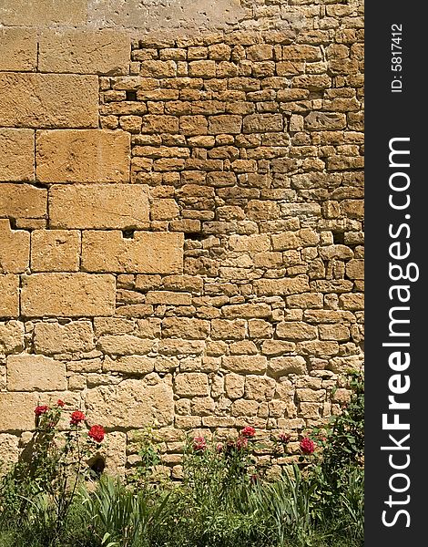 Very old brick wall with different size bricks, with grass and red roses growing at the bottom. Very old brick wall with different size bricks, with grass and red roses growing at the bottom