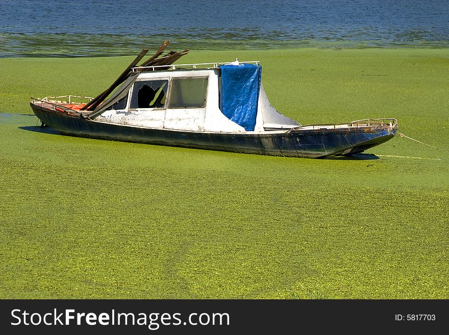 An old boat in green river shore. An old boat in green river shore