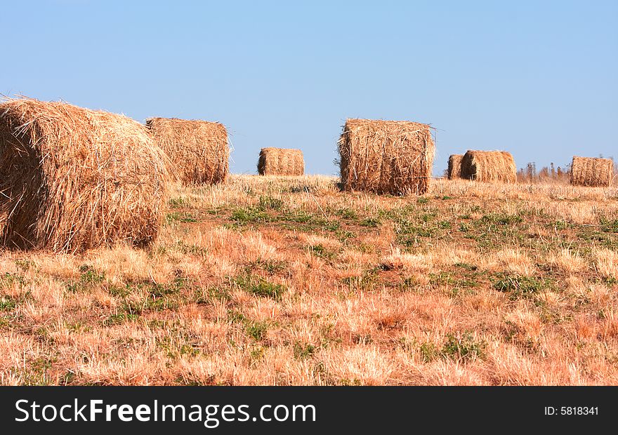 Rols of hay in a field against a blue sky during autumn. Rols of hay in a field against a blue sky during autumn