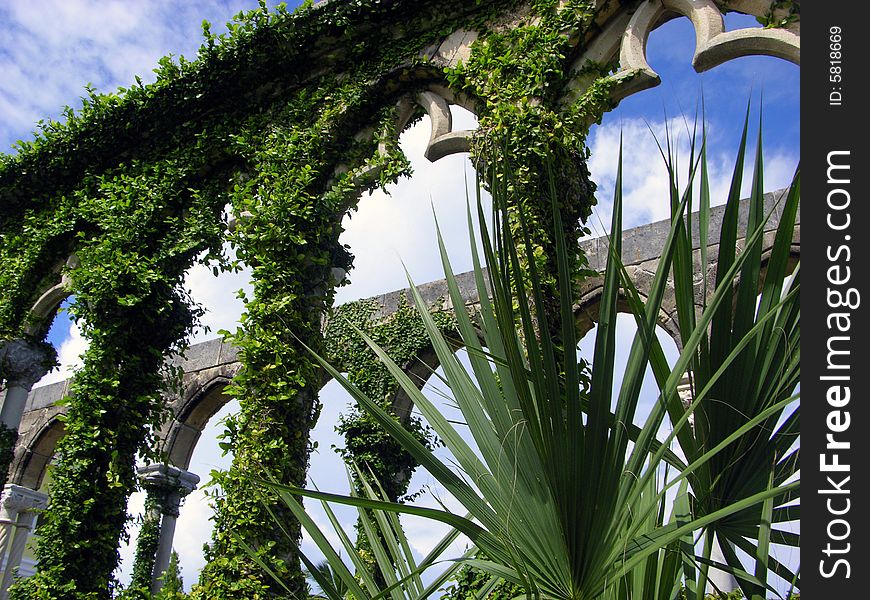 Plants And Cloisters