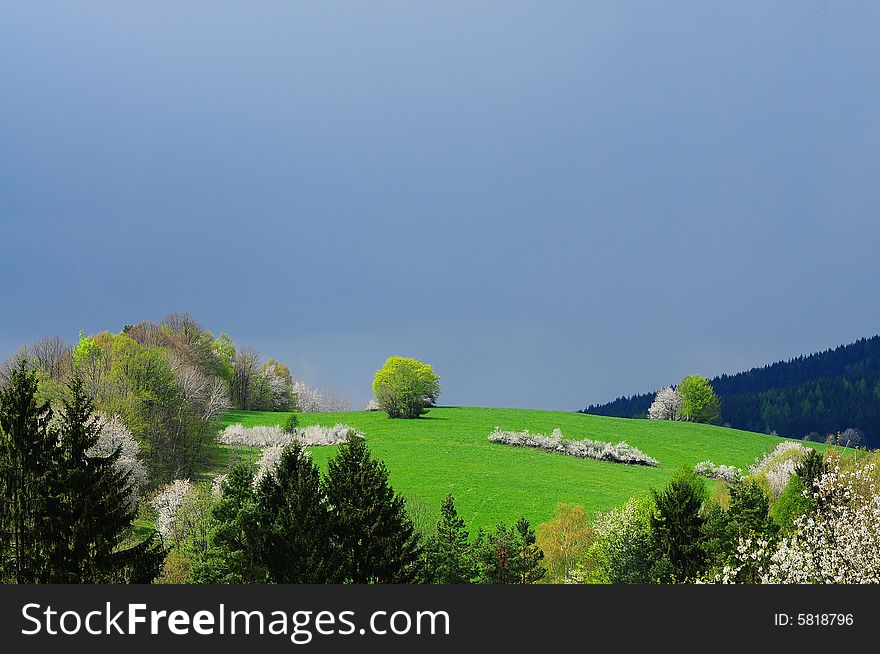 Hill in Wallachia in spring