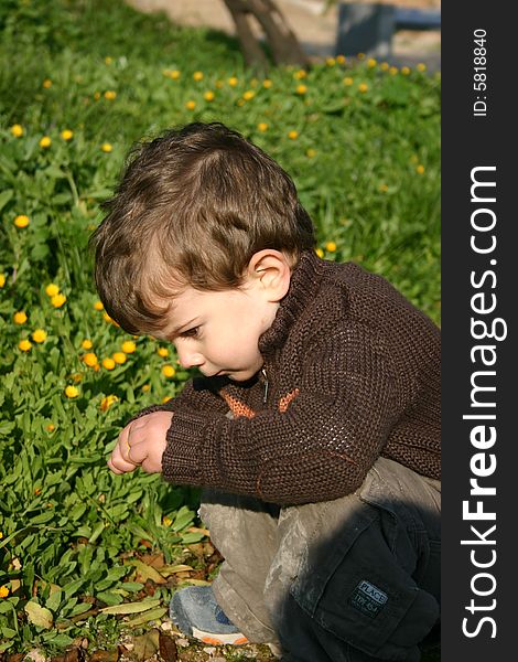 A boy picking flowers in the park. A boy picking flowers in the park.