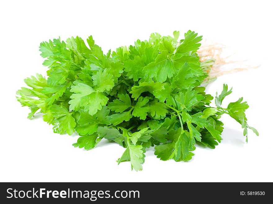 Bouquet of parsley, isolated on white