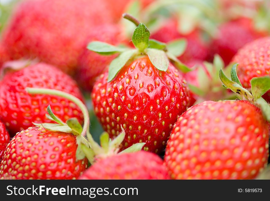 Close-up of ripe strawberries with shalow depth of view