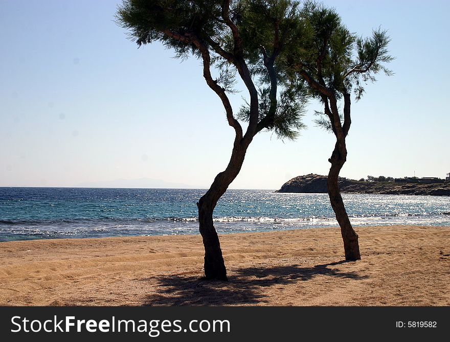 Two trees along the beach in Greece. Two trees along the beach in Greece.