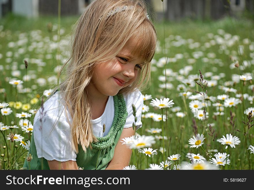 Little girl in the miidle of a daisy field. Little girl in the miidle of a daisy field.