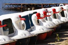 Goose Boat Stock Photos Goose Boat Stock Photos