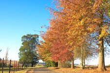 Autumn Landscape With Tarred Road And Fence Stock Photography Autumn Landscape With Tarred Road And Fence Stock Photography