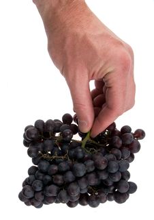 Man`s Feast With A Grape Stock Photography
