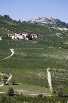 Hillside In Piemonte Stock Images Hillside In Piemonte Stock Images