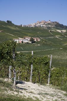 Hillside In Piemonte Stock Photos Hillside In Piemonte Stock Photos