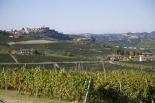 Hillside In Piemonte Stock Photos Hillside In Piemonte Stock Photos