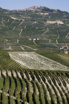 Hillside In Piemonte Royalty Free Stock Image Hillside In Piemonte Royalty Free Stock Image