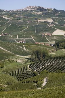 Hillside In Piemonte Royalty Free Stock Images Hillside In Piemonte Royalty Free Stock Images