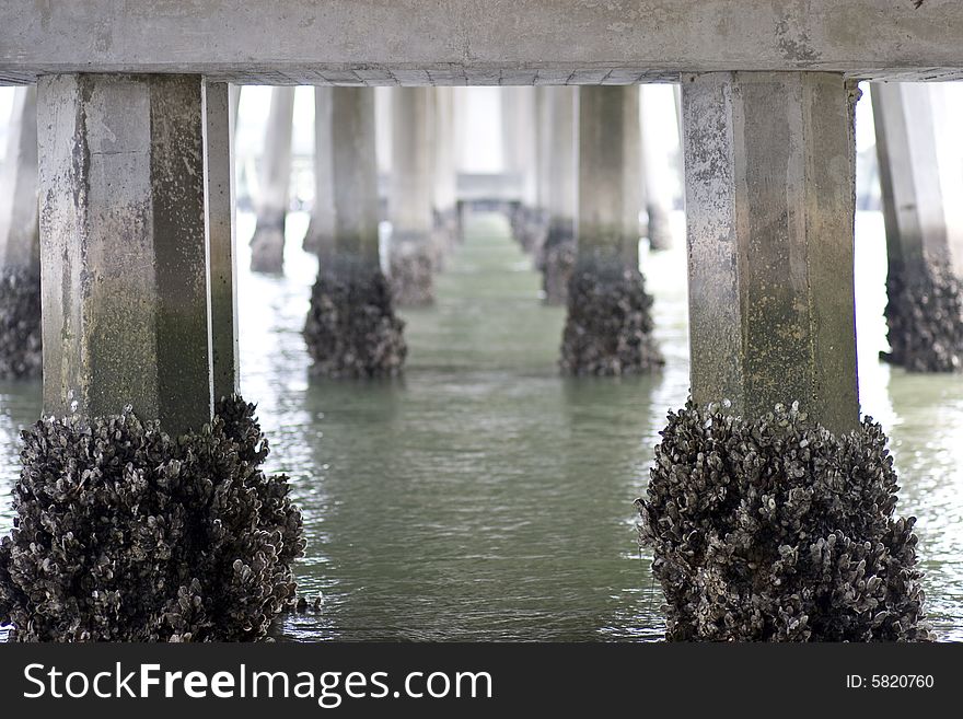 Underside of bridge with pillars covered in oysters, misty scene. Underside of bridge with pillars covered in oysters, misty scene