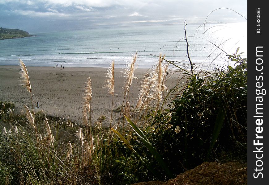 Beach at Raglan, New Zealand in afternoon sun