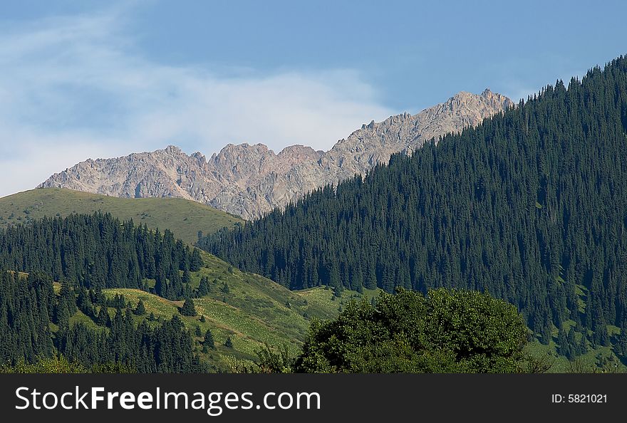 Mountains with green forest