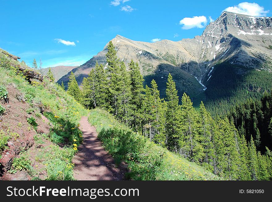 An alpine hiking trail in waterton lake national park, canada