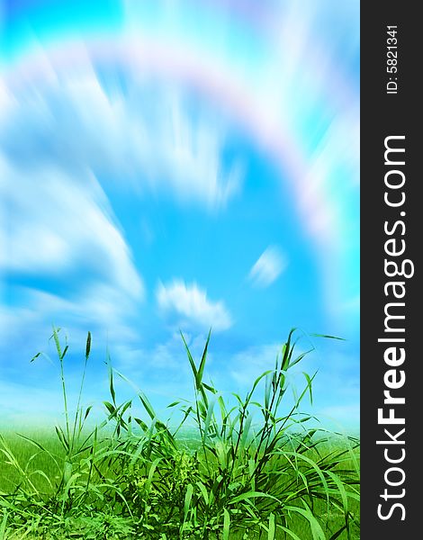 Beautiful green herb on background blue sky and cloud. Beautiful green herb on background blue sky and cloud