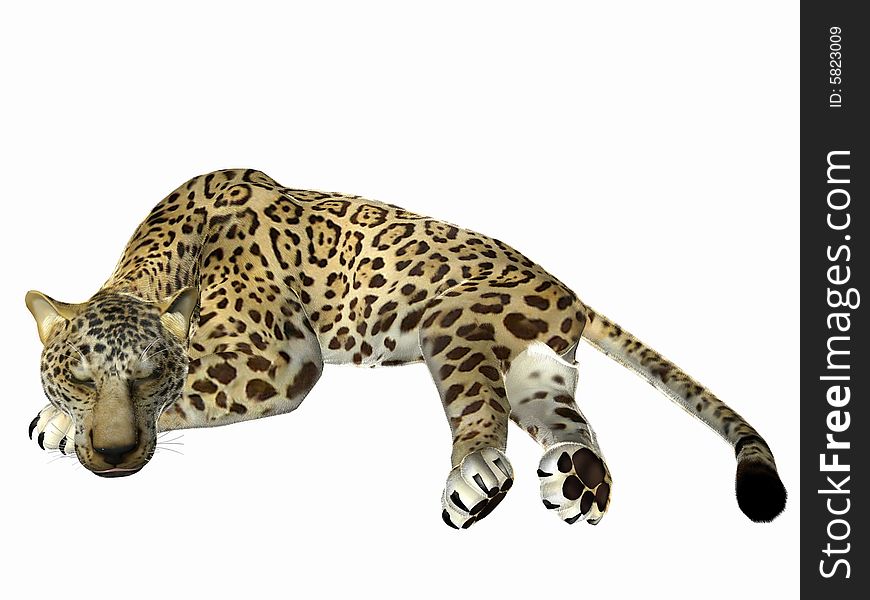 Sleeping jaguar, 3 dimensional model, computer generated image