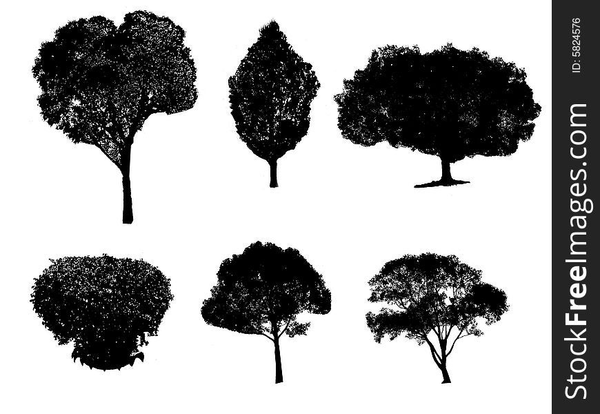 silhouette Trees isolated