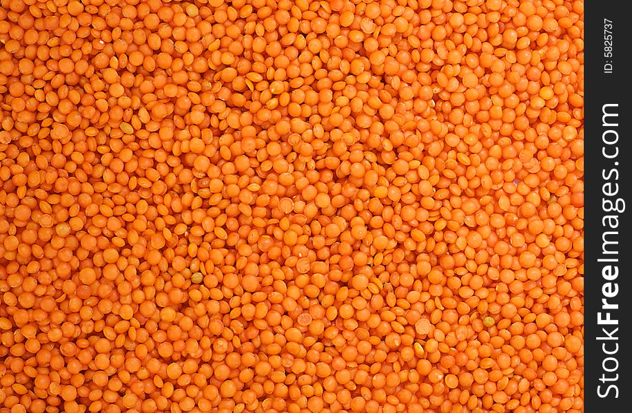 Red Lentil